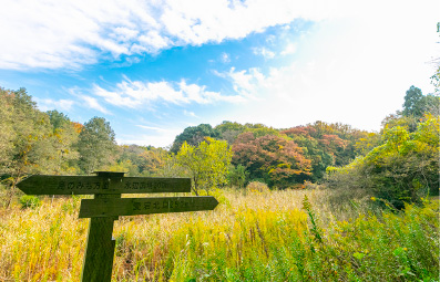 守谷野鳥の森（徒歩10分／約800m）